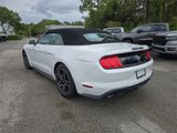 Used 2022 Ford Mustang Premium w/ Equipment Group 201A image 4