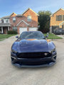 Used 2019 Ford Mustang GT Premium w/ California Special Package image 3