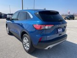 Used 2022 Ford Escape SE w/ Cold Weather Package image 3