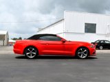 Used 2015 Ford Mustang Convertible w/ Equipment Group 051A image 3
