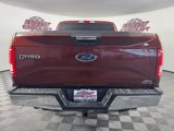 Used 2017 Ford F150 XLT w/ Equipment Group 301A Mid image 6