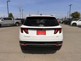 Used 2024 Hyundai Tucson SEL image 6