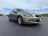 Used 2010 Honda Accord EX-L image 4