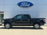 Used 2013 Ford F150 Lariat w/ Luxury Equipment Group image 2