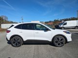 Used 2022 Ford Escape SE w/ SE Sport Appearance Package image 4