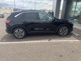 Certified 2020 Ford Escape SEL image 3