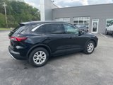 Used 2024 Ford Escape Active image 3