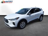 Used 2024 Ford Escape Active image 2