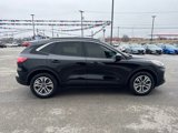 Used 2022 Ford Escape SEL image 6
