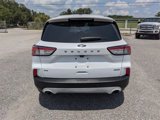 Used 2020 Ford Escape SE image 5
