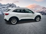 Certified 2022 Ford Escape SE w/ Convenience Package image 5