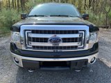 Used 2013 Ford F150 XLT w/ Luxury Equipment Group image 2