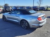 Used 2022 Ford Mustang Premium image 5