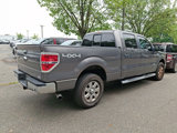 Used 2013 Ford F150 XLT w/ Luxury Equipment Group image 3