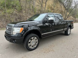 Used 2010 Ford F150 Platinum image 2
