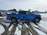 Used 2019 Ford F150 XLT w/ Equipment Group 302A Luxury image 5