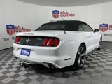 Used 2015 Ford Mustang Convertible w/ Equipment Group 051A image 3
