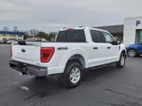 Certified 2023 Ford F150 XLT w/ Equipment Group 301A Mid image 5