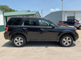 Used 2011 Ford Escape XLT w/ 202A Rapid Spec Order Code image 2