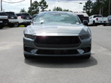 New 2025 Ford Mustang Premium image 3