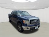 Used 2011 Ford F150 XLT w/ XLT Chrome Pkg image 3