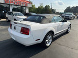 Used 2007 Ford Mustang Premium image 5