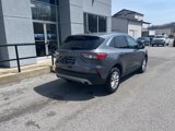 Used 2022 Ford Escape SE image 3