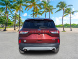 Used 2021 Ford Escape SE image 5