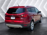 Used 2019 Ford Escape Titanium image 4