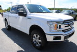 Used 2019 Ford F150 XLT w/ Equipment Group 301A Mid image 4