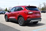 Used 2022 Ford Escape SEL image 6