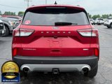 Used 2020 Ford Escape Titanium image 4