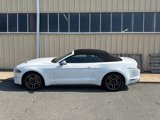 Used 2019 Ford Mustang Premium image 5