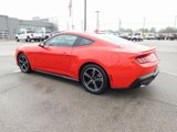 Used 2024 Ford Mustang Premium image 5