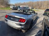 Used 2020 Ford Mustang Premium image 4