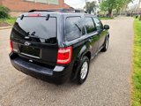 Used 2011 Ford Escape XLT w/ 203A Rapid Spec Order Code image 5