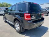 Used 2011 Ford Escape XLT w/ 203A Rapid Spec Order Code image 6
