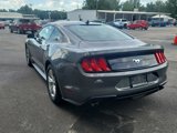 Used 2021 Ford Mustang Coupe image 4