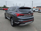 Used 2022 Hyundai Santa Fe SEL w/ Convenience + Premium Package image 3