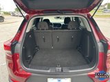 Used 2025 Chevrolet TrailBlazer LT image 3