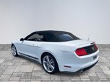 Used 2019 Ford Mustang Premium w/ Equipment Group 201A image 5