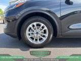 Used 2022 Ford Escape SE w/ Convenience Package image 4