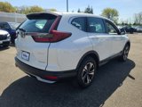 Used 2022 Honda CR-V Special Edition image 4