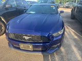 Used 2015 Ford Mustang Coupe w/ Wheel & Stripe Package image 2