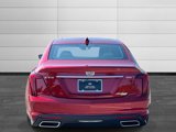 Used 2025 Cadillac CT5 Premium Luxury image 4