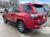 Used 2019 Toyota 4Runner TRD Off-Road Premium image 3