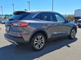 Certified 2022 Ford Escape SEL image 4
