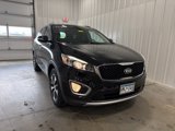 Used 2016 Kia Sorento EX w/ EX Premium Package image 3
