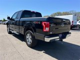 Used 2017 Ford F150 XLT w/ Equipment Group 302A Luxury image 5
