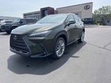 New 2025 Lexus NX 350h AWD w/ Accessory Package (2T) image 3